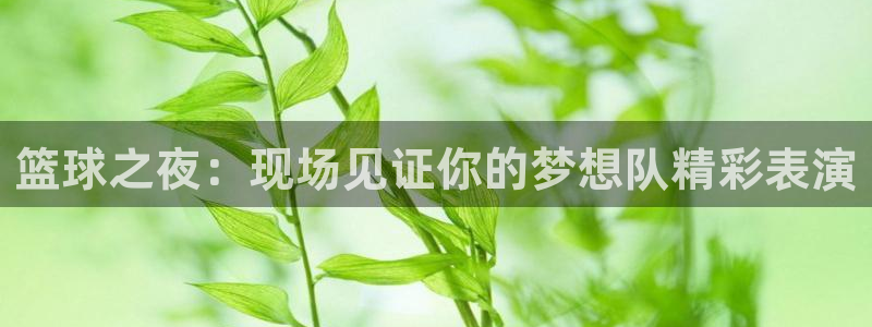 易游网游戏中心客服电话：篮球之夜：现场见证你的梦想队精彩表演