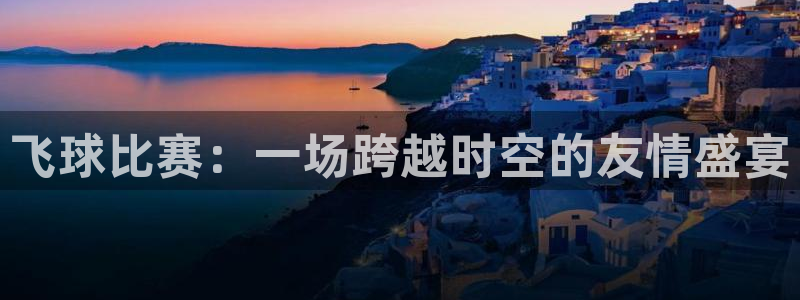 易游网游戏交易平台可信吗：飞球比赛：一场跨越时空的友情盛宴