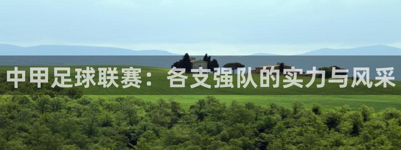 易游安卓app：中甲足球联赛：各支强队的实力与风采