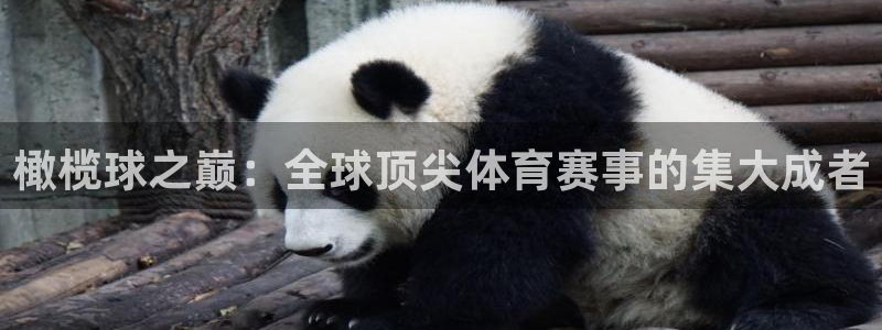 易游怎么样：橄榄球之巅：全球顶尖体育赛事的集大成者