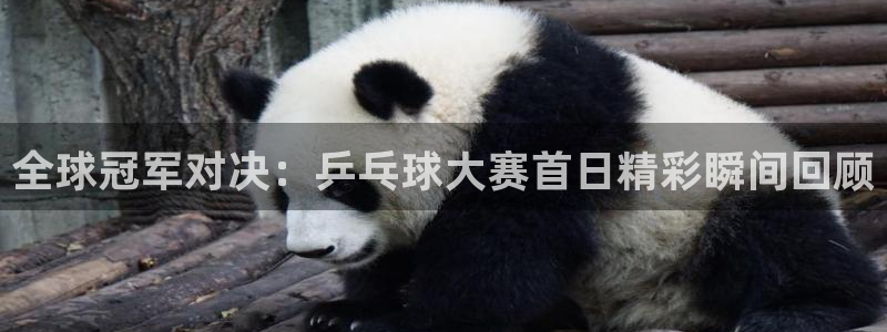 易游体育苏州：全球冠军对决：乒乓球大赛首日精彩瞬间回顾